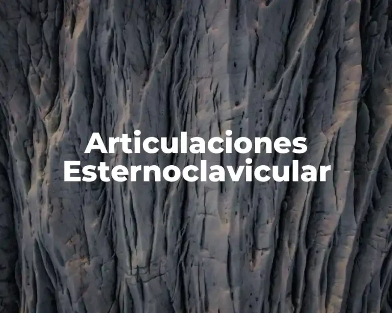 Articulaciones Esternoclavicular