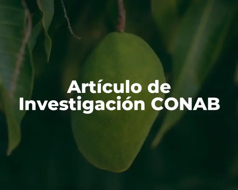 Artículo de Investigación CONAB