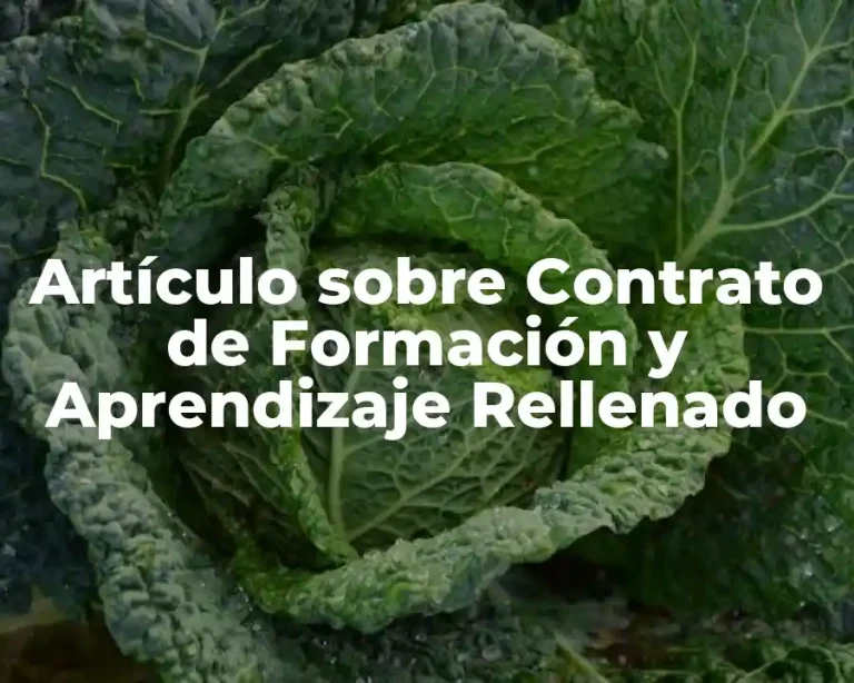 Artículo sobre Contrato de Formación y Aprendizaje Rellenado