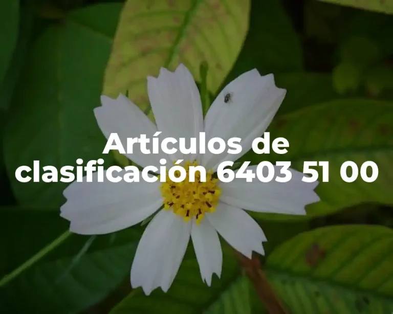 Artículos de clasificación 6403 51 00