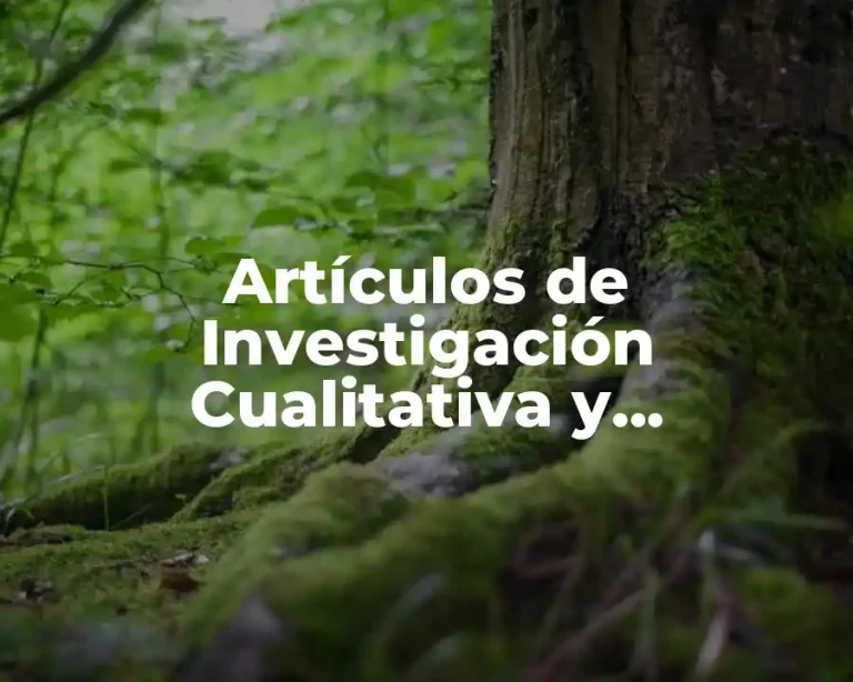 Artículos de Investigación Cualitativa y Cuantitativa