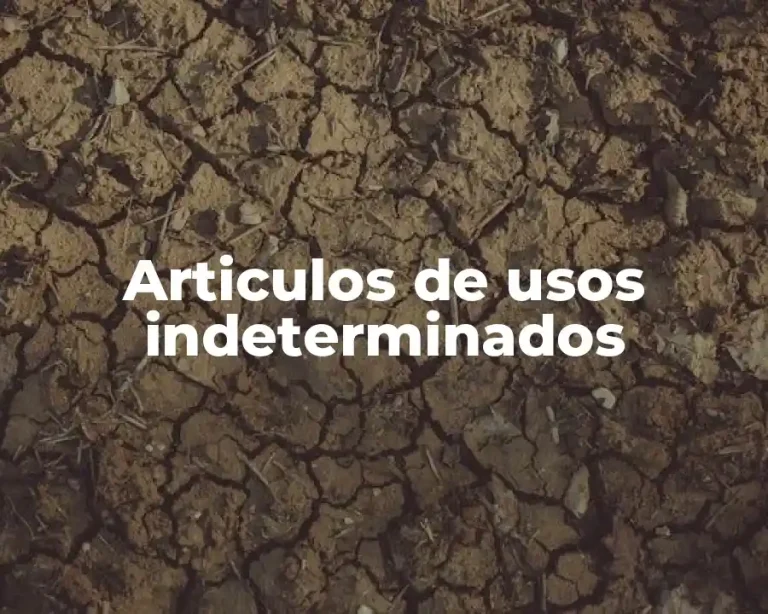 Articulos de usos indeterminados