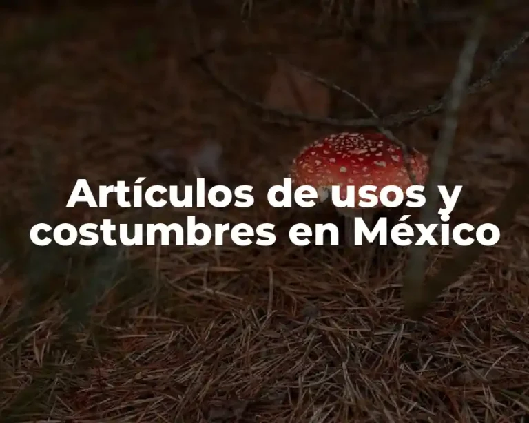 Artículos de usos y costumbres en México