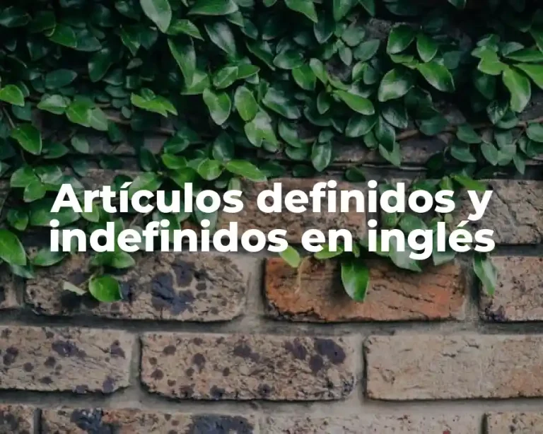Artículos definidos y indefinidos en inglés