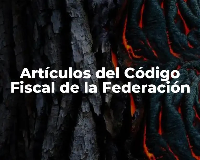 Artículos del Código Fiscal de la Federación