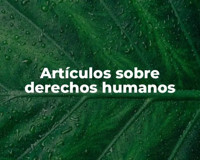 Artículos sobre derechos humanos