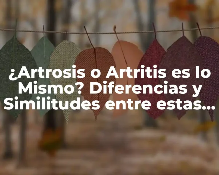 ¿Artrosis o Artritis es lo Mismo? Diferencias y Similitudes entre estas Dos Condiciones Médicas