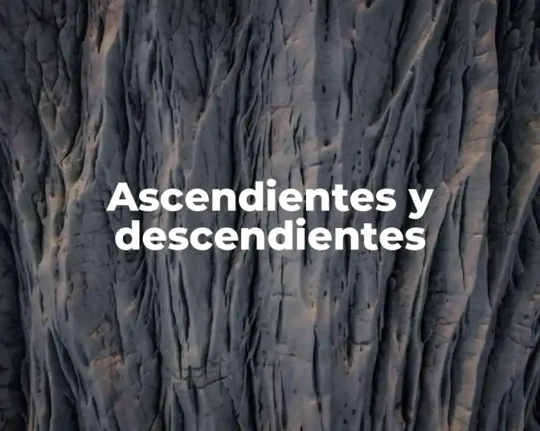 Ascendientes y descendientes