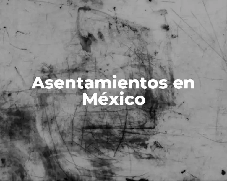 Asentamientos en México