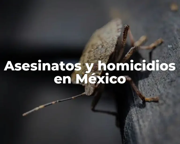 Asesinatos y homicidios en México