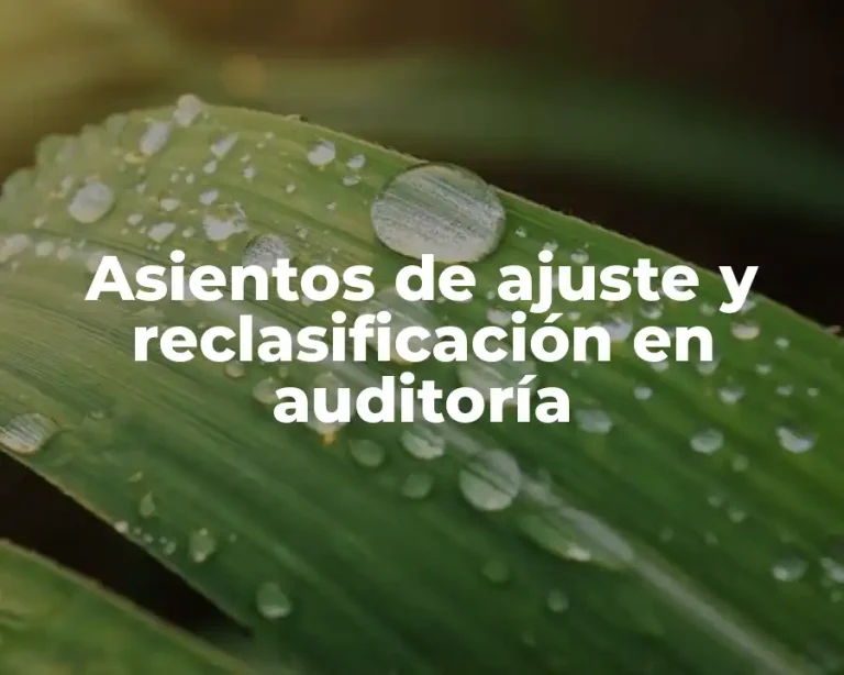Asientos de ajuste y reclasificación en auditoría