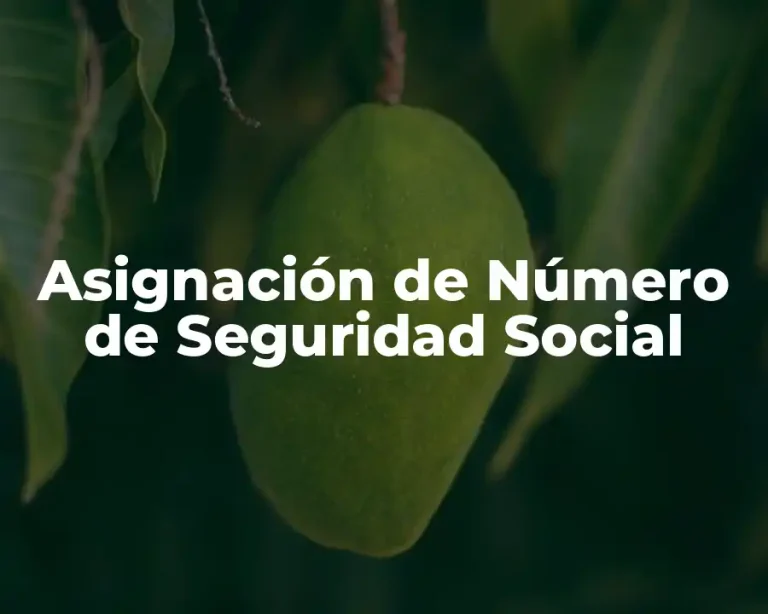 Asignación de Número de Seguridad Social