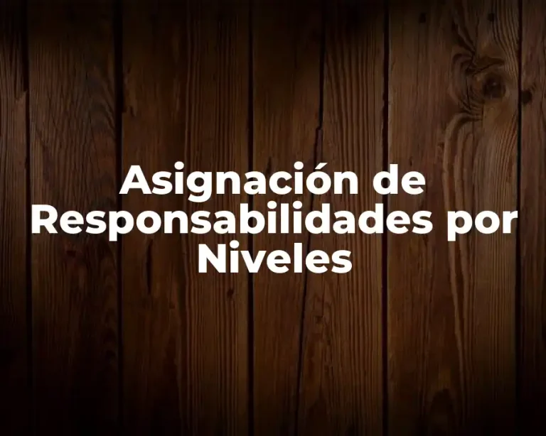 Asignación de Responsabilidades por Niveles