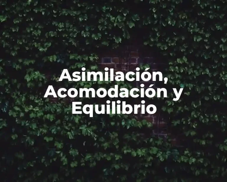 Asimilación, Acomodación y Equilibrio