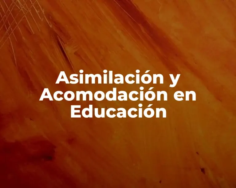 Asimilación y Acomodación en Educación
