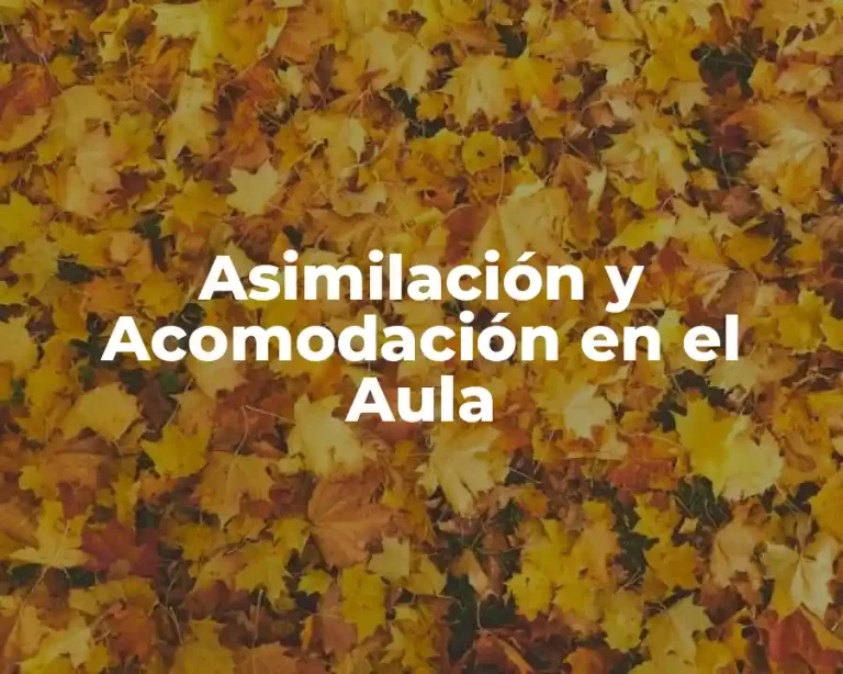 Asimilación y Acomodación en el Aula