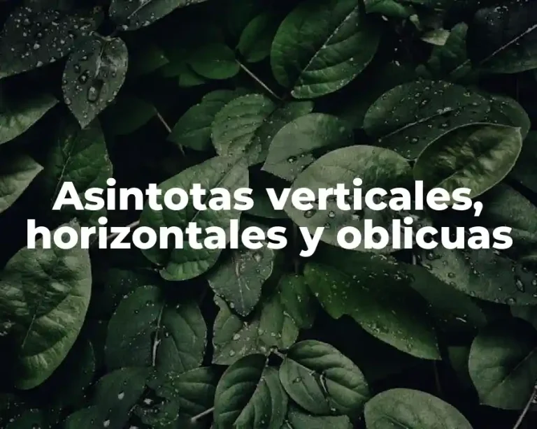 Asintotas verticales, horizontales y oblicuas