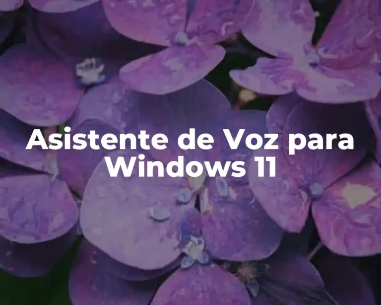 Asistente de Voz para Windows 11
