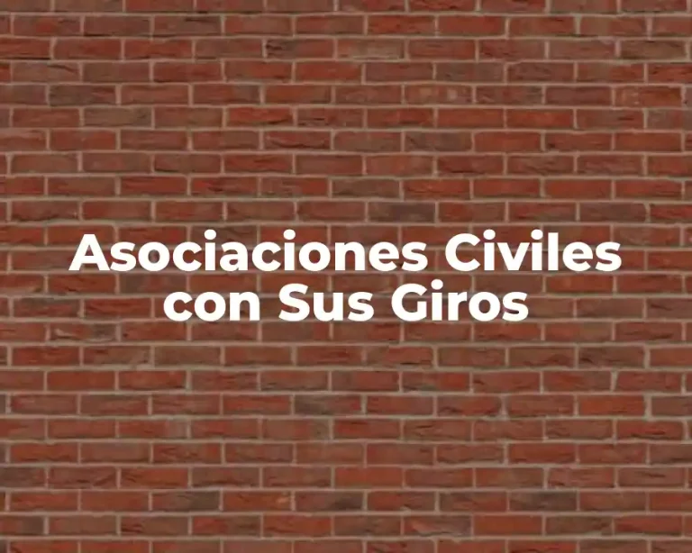 Asociaciones Civiles con Sus Giros
