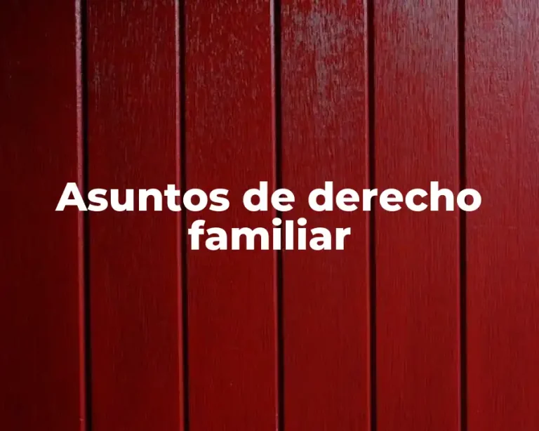 Asuntos de derecho familiar