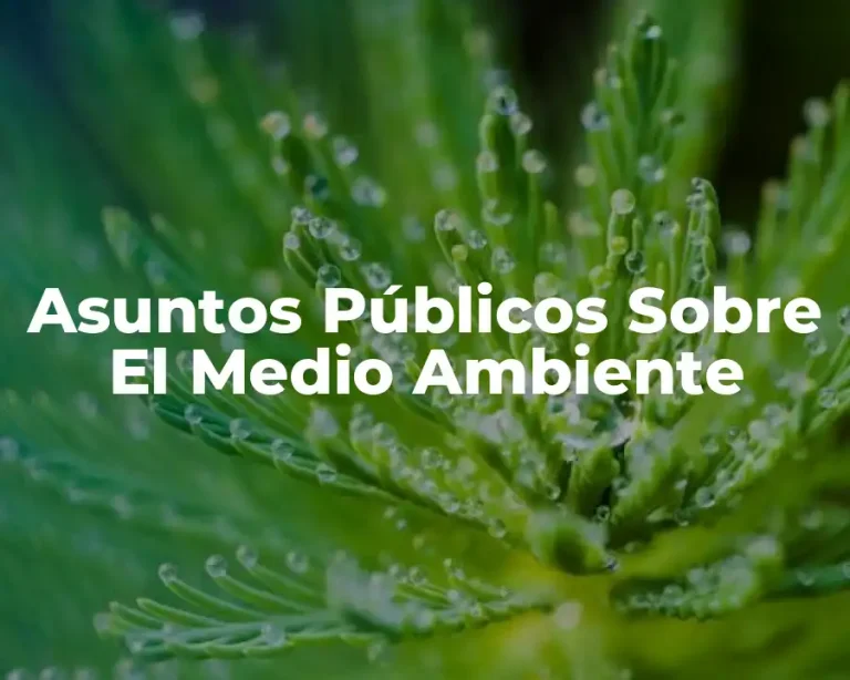 Asuntos Públicos Sobre El Medio Ambiente