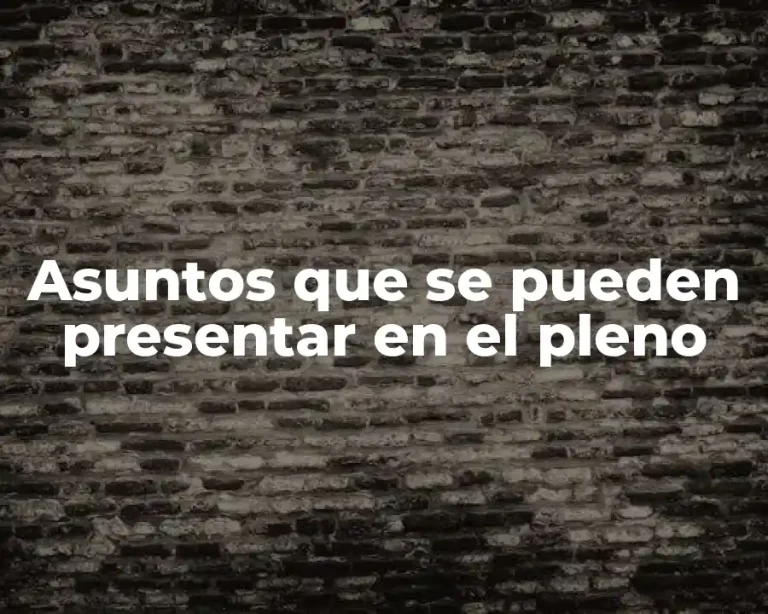 Asuntos que se pueden presentar en el pleno