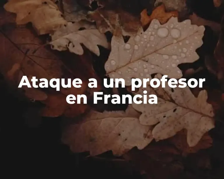 Ataque a un profesor en Francia