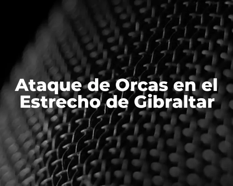 Ataque de Orcas en el Estrecho de Gibraltar