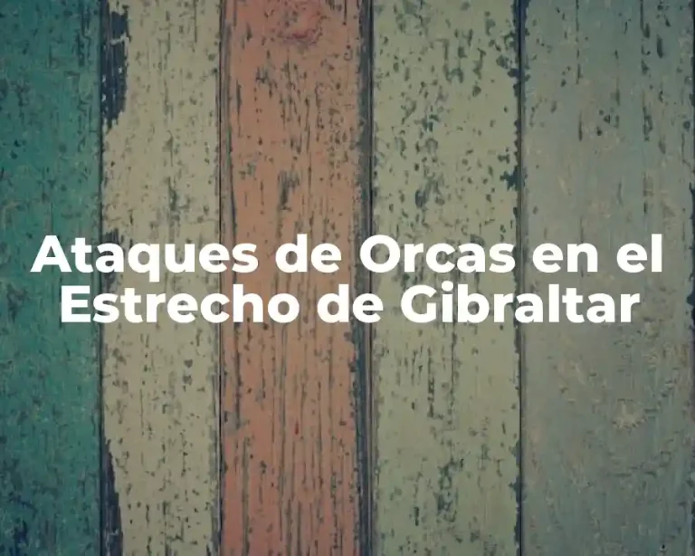 Ataques de Orcas en el Estrecho de Gibraltar