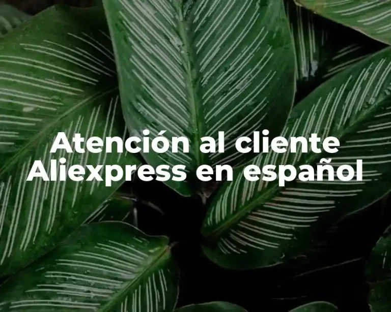 Atención al cliente Aliexpress en español