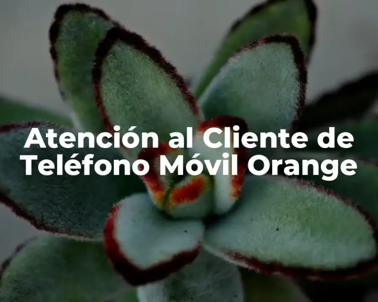 Atención al Cliente de Teléfono Móvil Orange