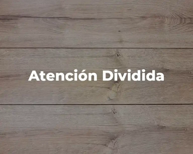 Atención Dividida