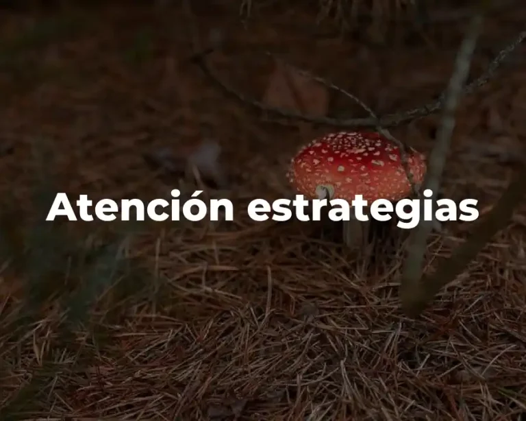 Atención estrategias