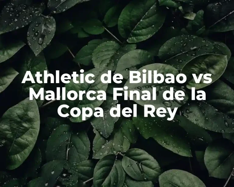 Athletic de Bilbao vs Mallorca Final de la Copa del Rey