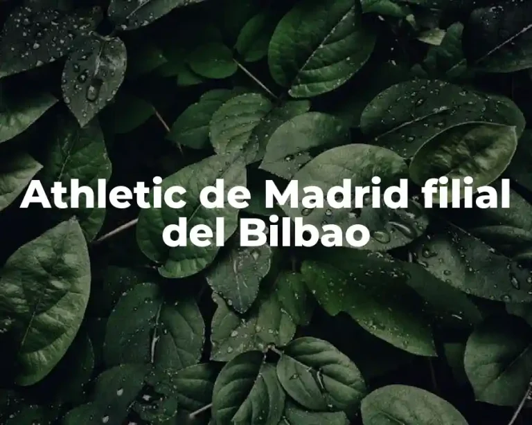 Athletic de Madrid filial del Bilbao