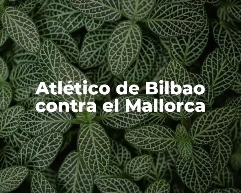 Atlético de Bilbao contra el Mallorca