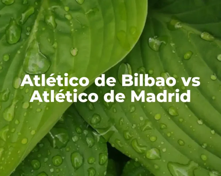 Atlético de Bilbao vs Atlético de Madrid