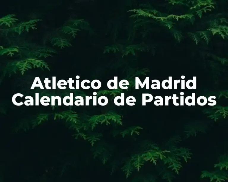 Atletico de Madrid Calendario de Partidos
