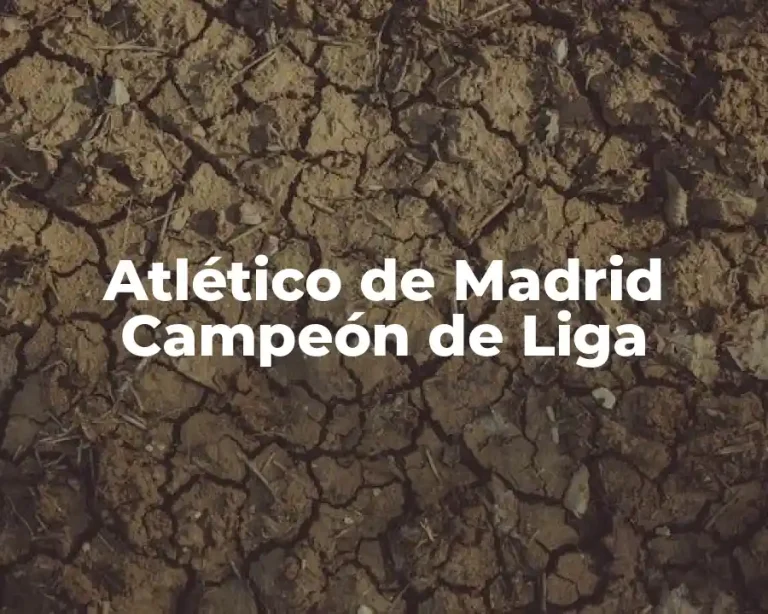 Atlético de Madrid Campeón de Liga