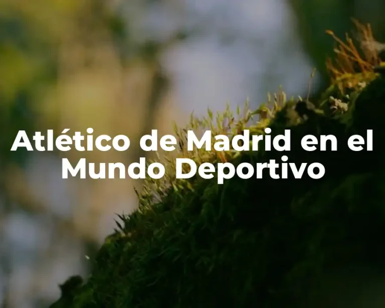 Atlético de Madrid en el Mundo Deportivo