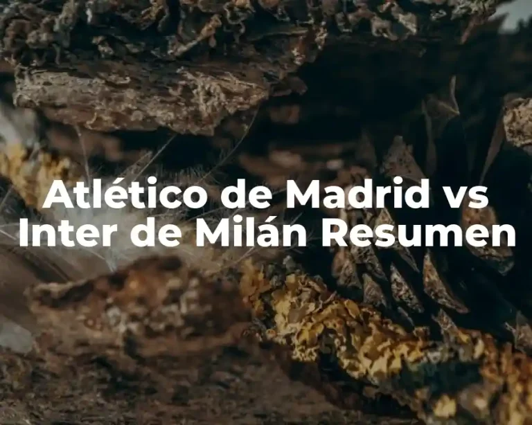 Atlético de Madrid vs Inter de Milán Resumen