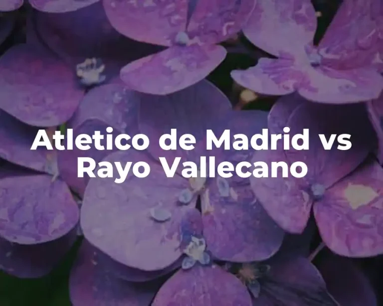 Atletico de Madrid vs Rayo Vallecano