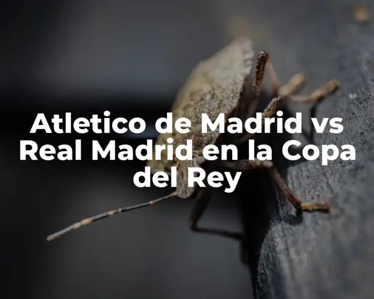 Atletico de Madrid vs Real Madrid en la Copa del Rey