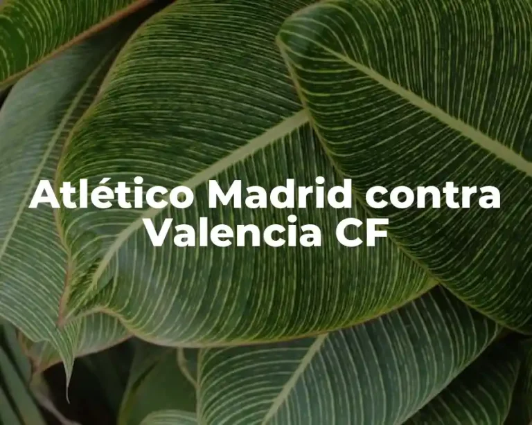 Atlético Madrid contra Valencia CF