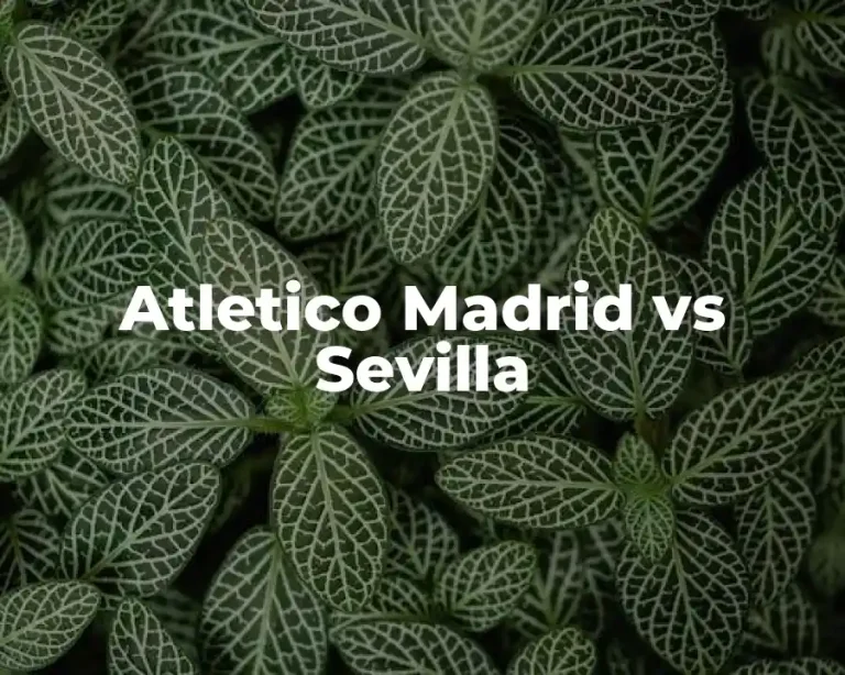 Atletico Madrid vs Sevilla