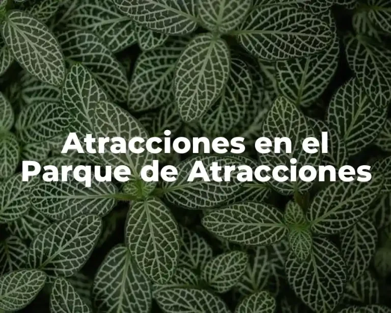 Atracciones en el Parque de Atracciones