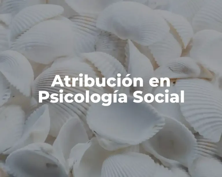 Atribución en Psicología Social