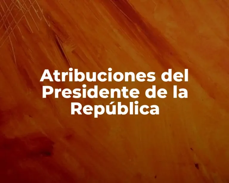 Atribuciones del Presidente de la República