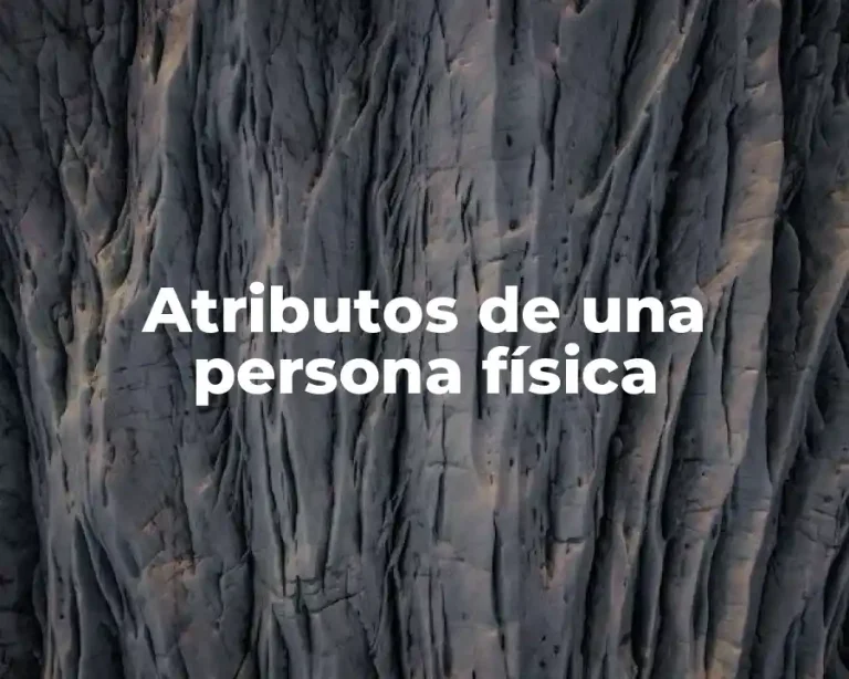 Atributos de una persona física