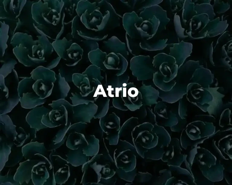 Atrio